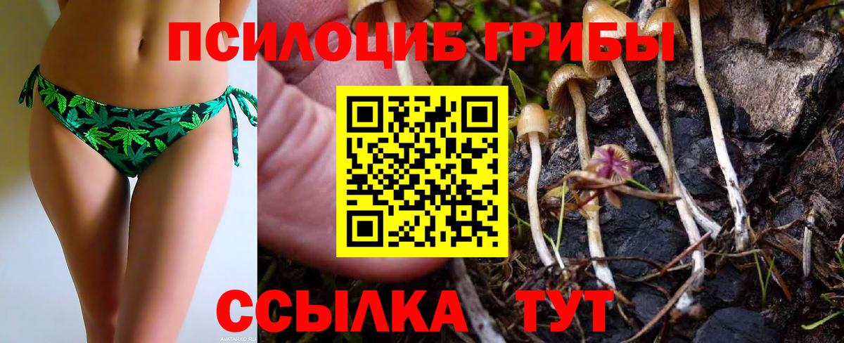 Дзержинский  Галлюциногенные грибы MAGIC MUSHROOMS  где продают наркотики  Вход с VPN 